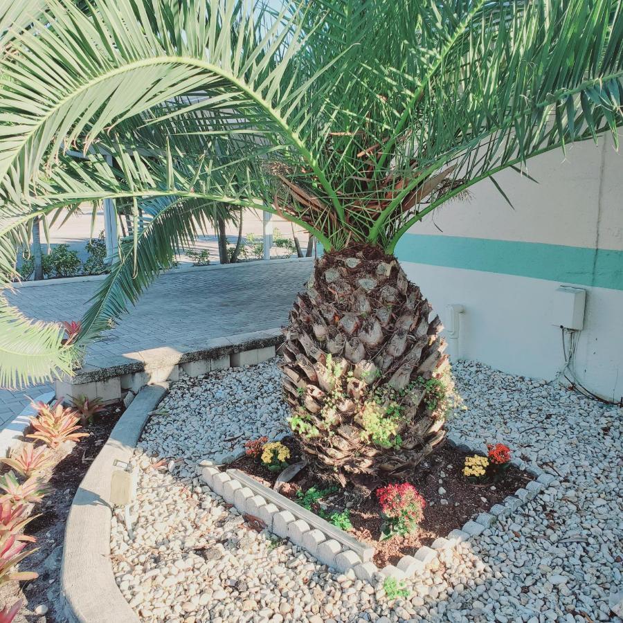 Tropical Palm Motel North Fort Myers Luaran gambar